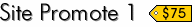 Site Promote 1